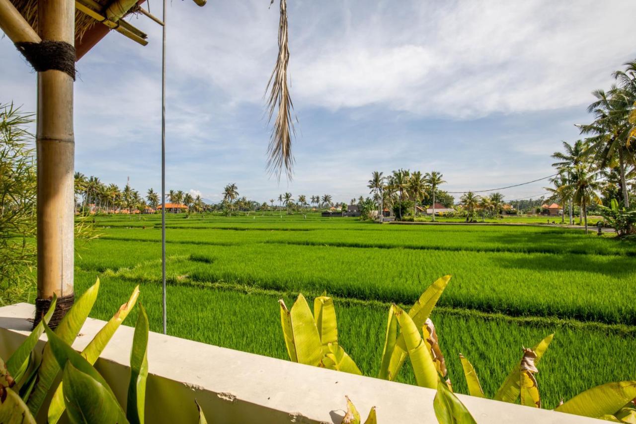 Sisin Ubud View Kültér fotó